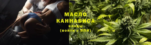 соль ск Лабытнанги