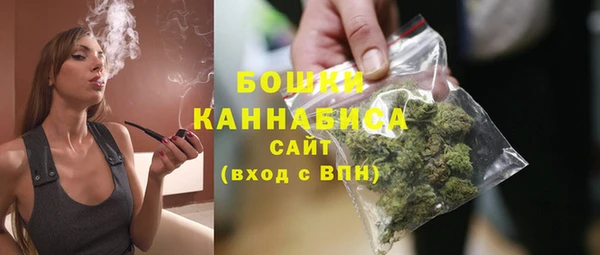 шишки Лагань