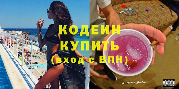 шишки Лагань