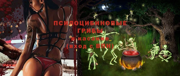 шишки Лагань