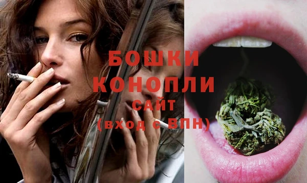 шишки Лагань