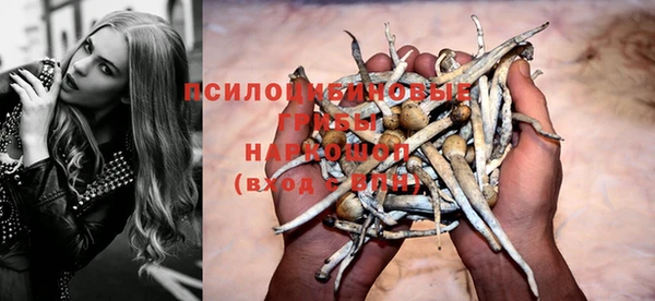 соль ск Лабытнанги