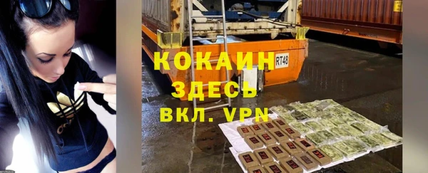 шишки Лагань
