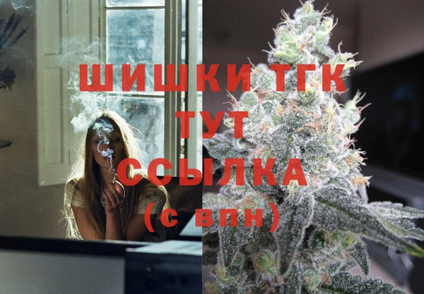 шишки Лагань