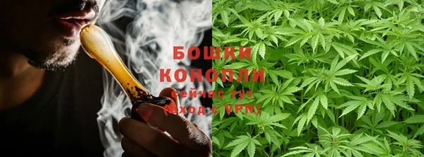 трава Ладушкин