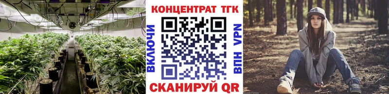 Купить где  Шарыпово  ТГК THC oil 