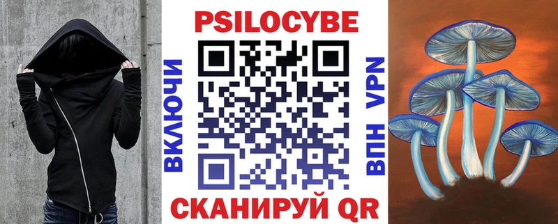Купить  Шарыпово  Галлюциногенные грибы мицелий 